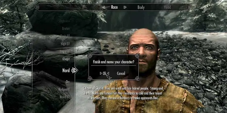 SKYRIM-customization-menu