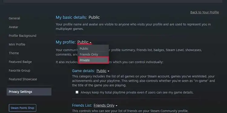 Hide-Steam-Profile