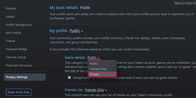 Privacy-Settings-on-Steam