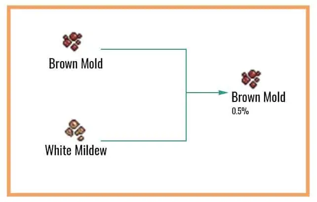 Brown-Mold-Chart