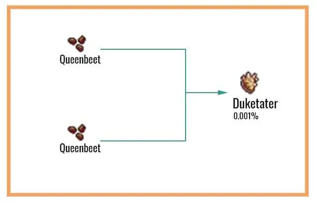 Duketater-Chart-1