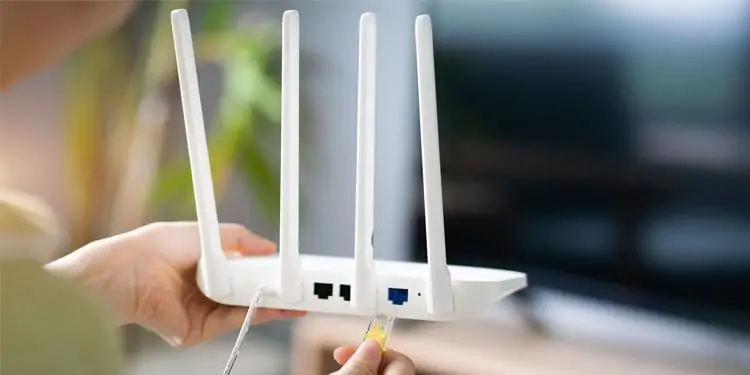 Ethernet-Cable-into-Router