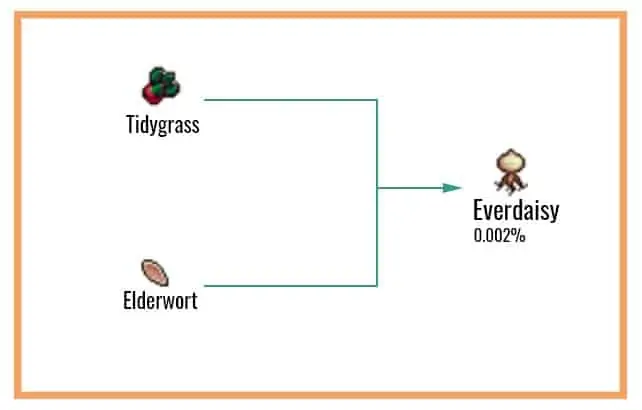 Everdaisy-Chart