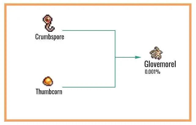 Glovemorel-Chart