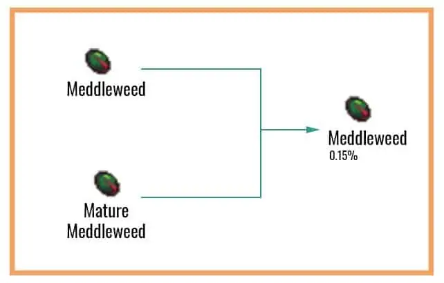 Meddleweed-Chart