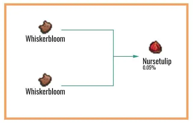 Nursetulip-Chart