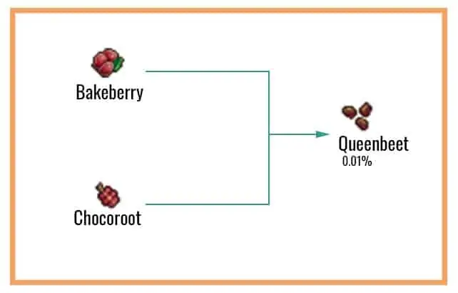 Queenbeet-Chart