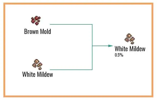 White-Mildew-Chart