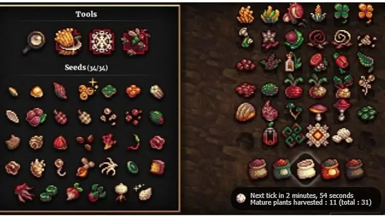seeds-image
