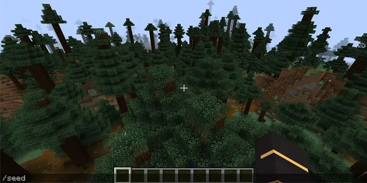 Find-Seed-in-Minecraft
