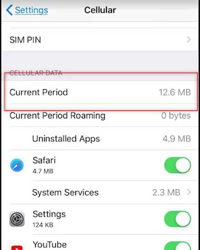 Wifi-Usage-iPhone