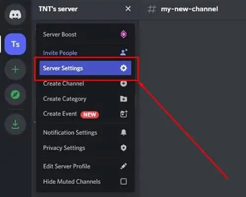 How to Make Reaction Roles on Discord 55 server-settings