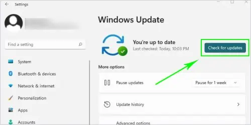 Mouse Cursor Disappeared in Windows? 14 Ways To Fix 9 check-for-updates-4-e1640746427542