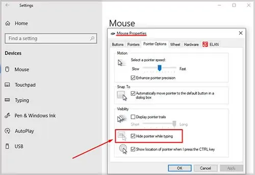 Mouse Cursor Disappeared in Windows? 14 Ways To Fix 6 hide-pointer-while-typing-1
