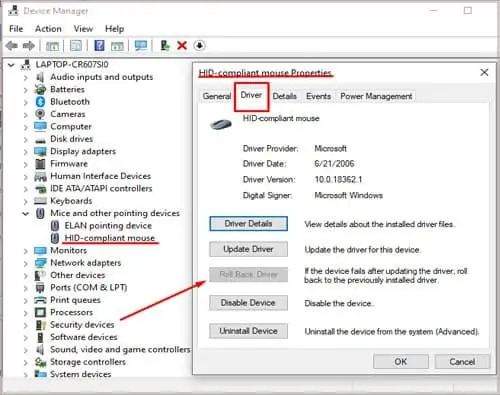 Mouse Cursor Disappeared in Windows? 14 Ways To Fix 5 rollback-mouse-driver