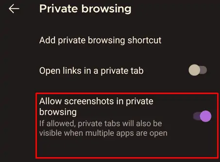 7.-mozilla-private-browsing