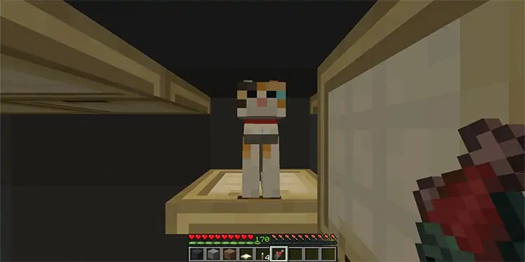 7 Ways on How to Get Gunpowder in Minecraft 22 cat