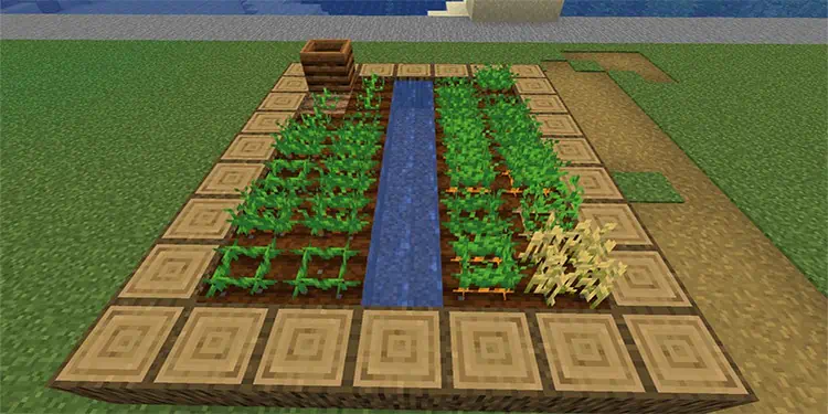 farm