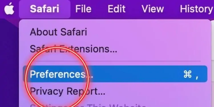 preferences-in-safari