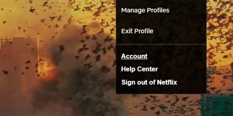 account-netflix