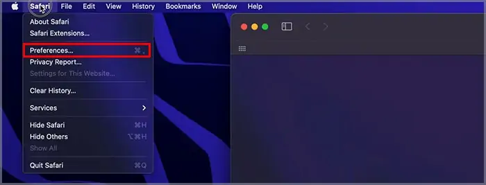 safari-preference