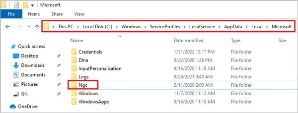 How to Fix “Something Happened And Your Pin Isn’t Available” 14 delete-ngc-folder
