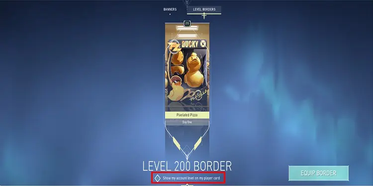How to Make Valorant Account 9 player-card-details