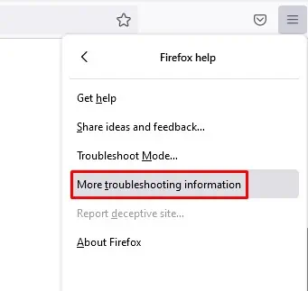 How to Fix “No Valid Sources Are Available For This Video.” 21 Firefox-more-troubleshoot-information