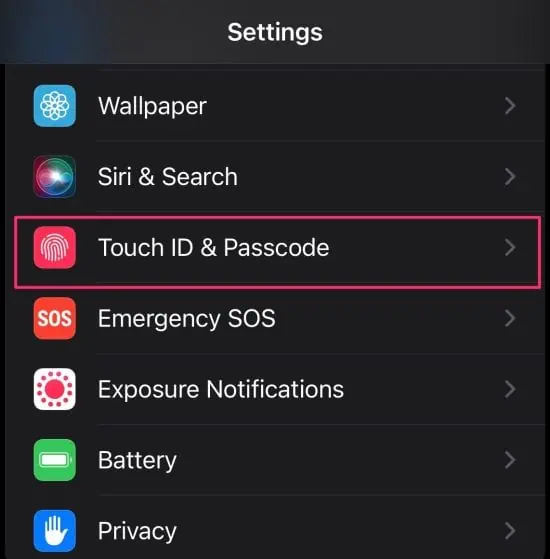Touch-ID-or-Face-Id-and-Passcode-option--e1653751689940
