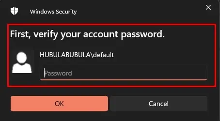 verify-password-for-removing-pin