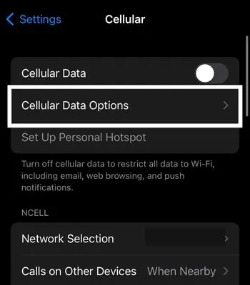 Whatsapp Video Call Not Working? Try These Fixes for Android & iPhone 42 Click-on-Cellular-data-options