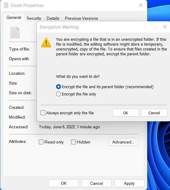 How to Password Protect a Folder in Windows 11 15 FileEncryptionWarningWin11
