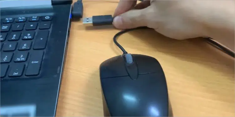 Unplug-the-mouse-with-stroke