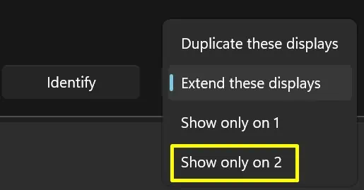 How to Change Primary and Secondary Monitor? 21 show-only-2