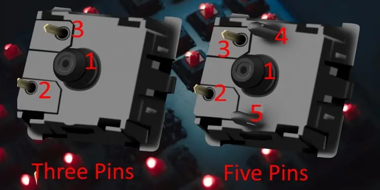 How to Know if Your Keyboard Is Hot Swappable 4 3pin-Vs-5pins