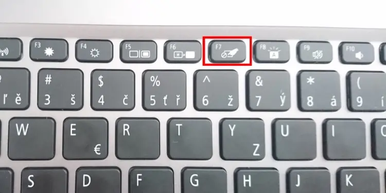 Touchpad Not Working on Laptop? Here’s How to Fix It 8 FnKey-Touchpad