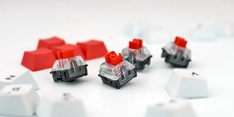How to Know if Your Keyboard Is Hot Swappable 3 Hot-Swappable-Switches