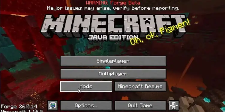 How to Make Minecraft Look Realistic? 2 Mod-Option-available