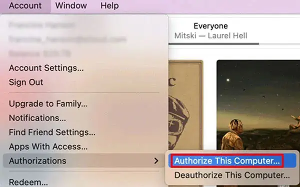 authorize-this-device