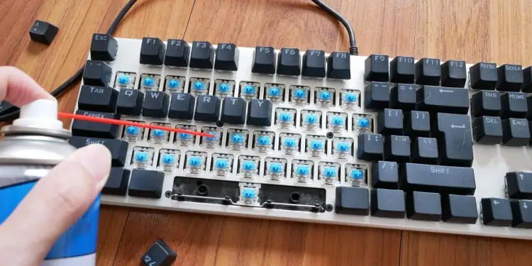Mechanical Keyboard Key is Not Working - How Do I Fix it? 6 cleaning-dust-of-keyboard