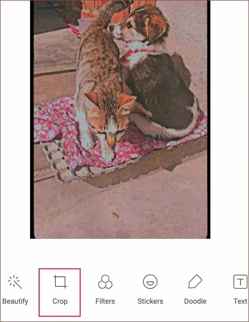 crop-in-gallery-settings-792x1024