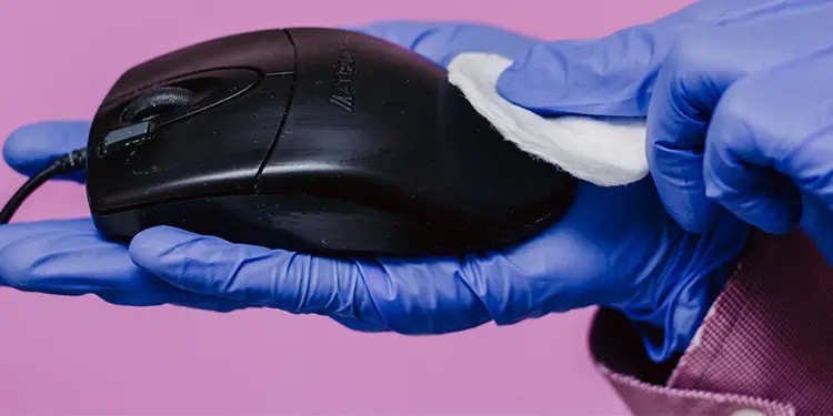 how-to-clean-a-mouse