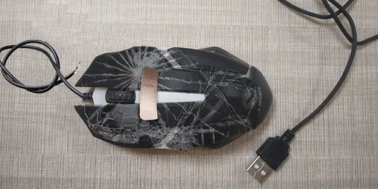 how-to-fix-a-broken-mouse