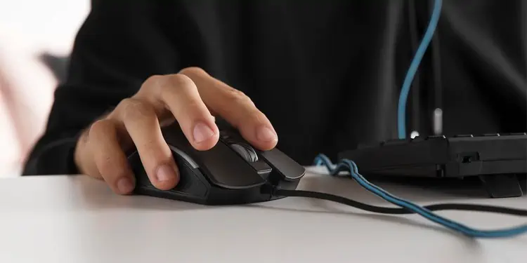 how-to-hold-a-mouse