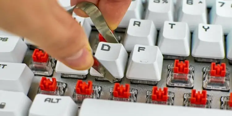 Corsair Keyboard Not Working? Here's How to Solve It 43 how-to-take-off-keyboard-keys