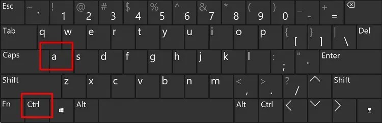 How to Copy and Paste Without a Mouse 15 press-ctrl-a-keys