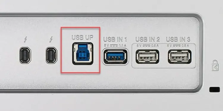 How to Use USB Ports on Monitor 2 usb-up