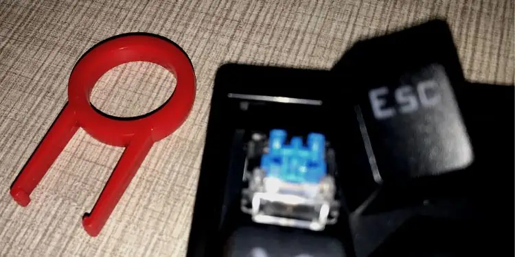Esc Key Not Working? Here's How to Fix 29 use-keycap-puller-to-take-off-esc-key