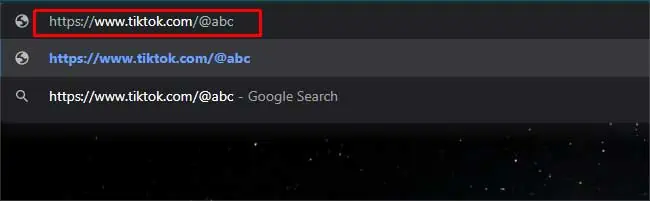 How to Search on TikTok Without an Account? 18 web-browser