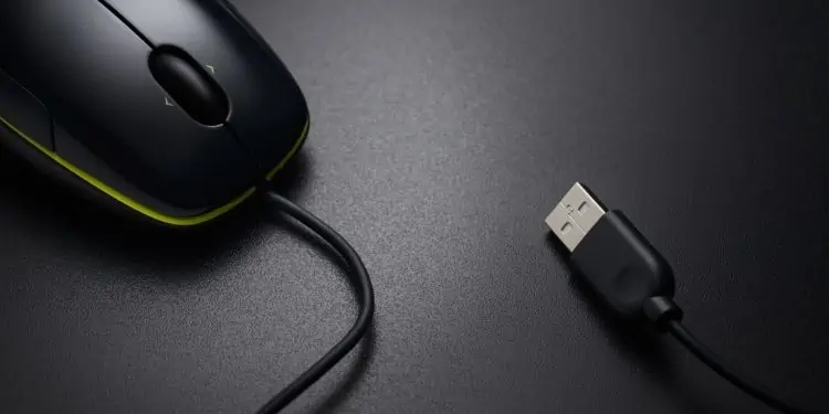 How to Setup a Logitech Mouse (Beginner's Guide) 9 wiredmouse